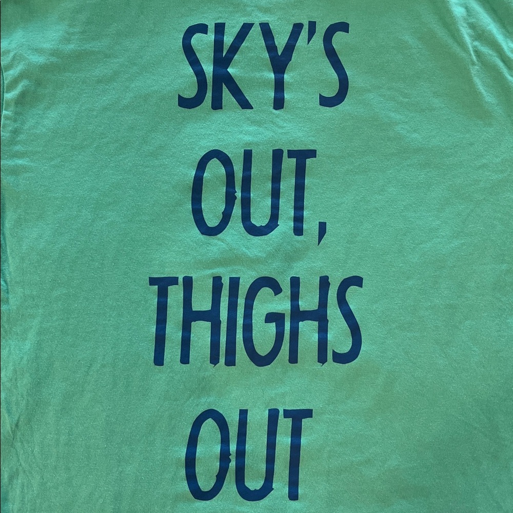 Chubbies T-Shirt Men’s The Soto Light Turquoise Sky’s Out Thighs Out Medium - Picture 5 of 5